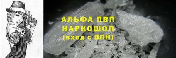 стаф Богданович