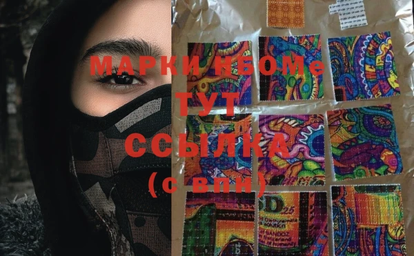стаф Богданович