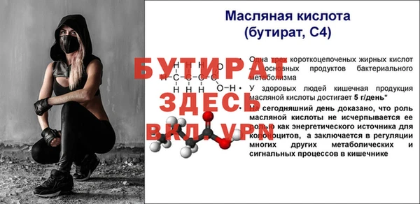 стаф Богданович