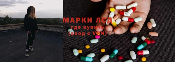 стаф Богданович